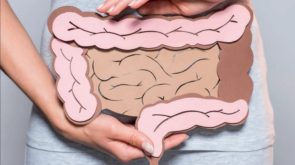 brochure : chirurgie colorectale