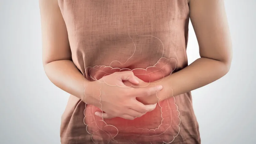 Brochure Gipp : Syndrome de l'intestin irritable