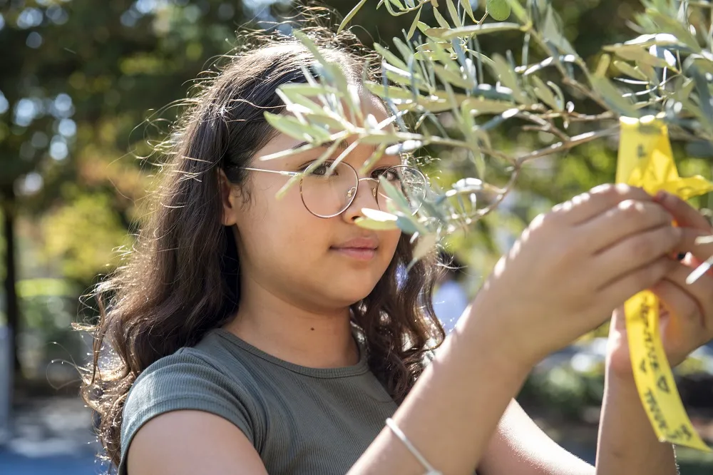 Décoration de l'Oli'VIE