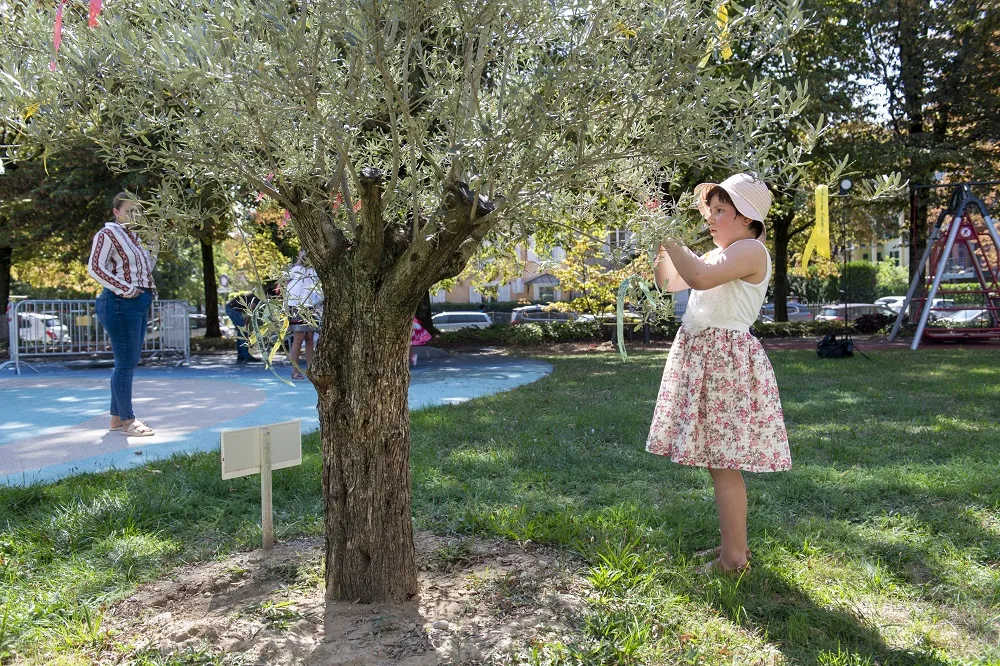 Décoration de l'Oli'VIE