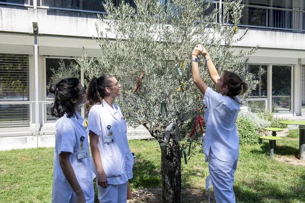 Décoration de l'Oli'VIE