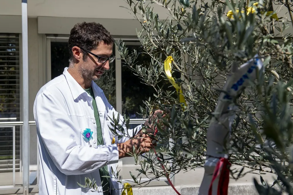 Décoration de l'Oli'VIE