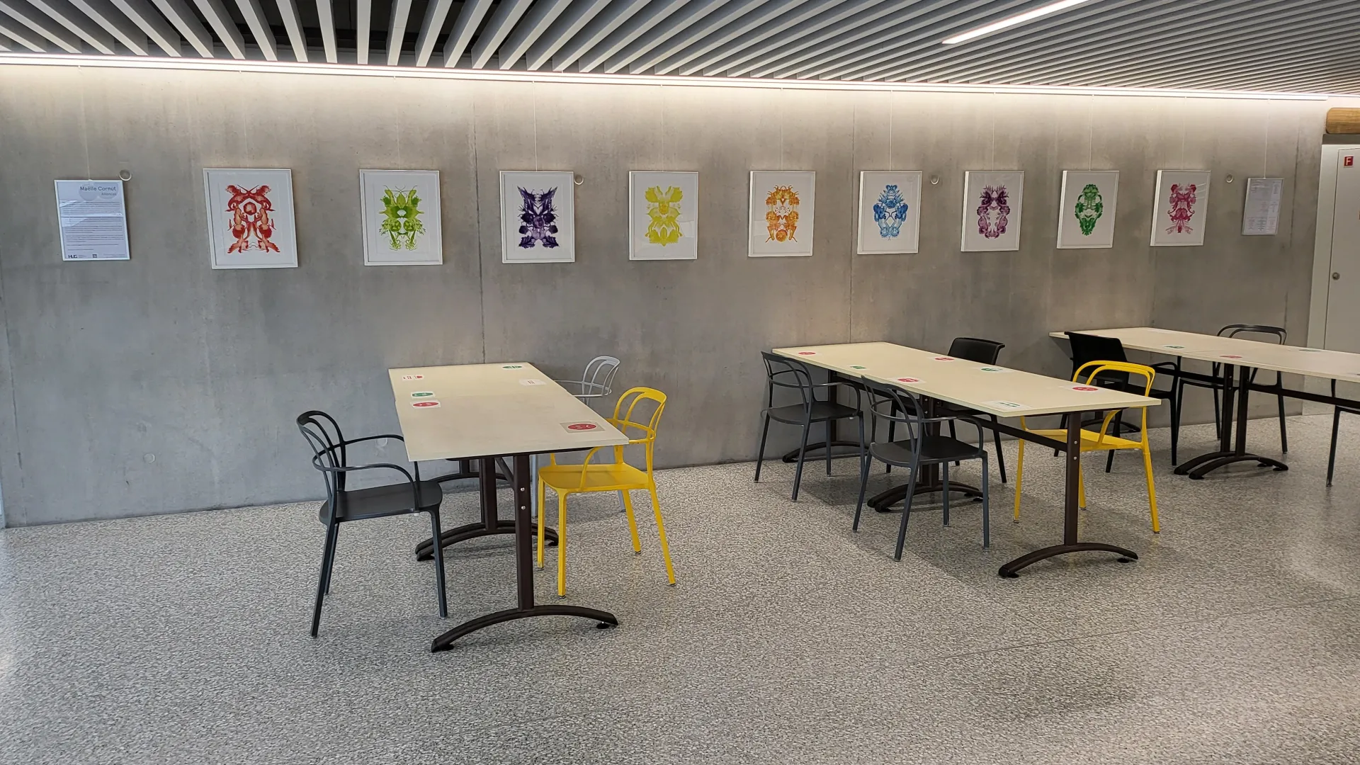 Photo de l'exposition 