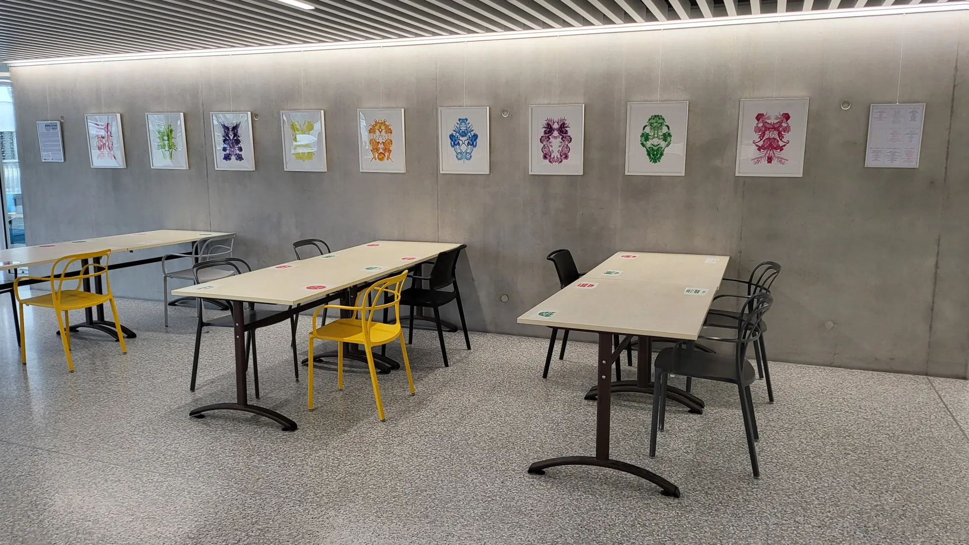 Exposition Maëlle Cornut 