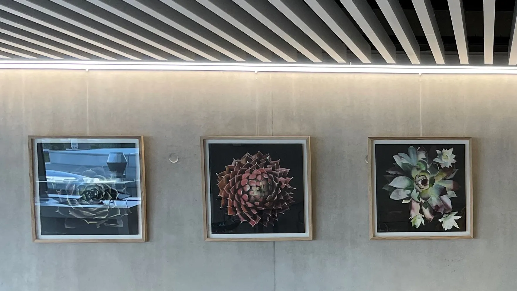 Photo de l'exposition 