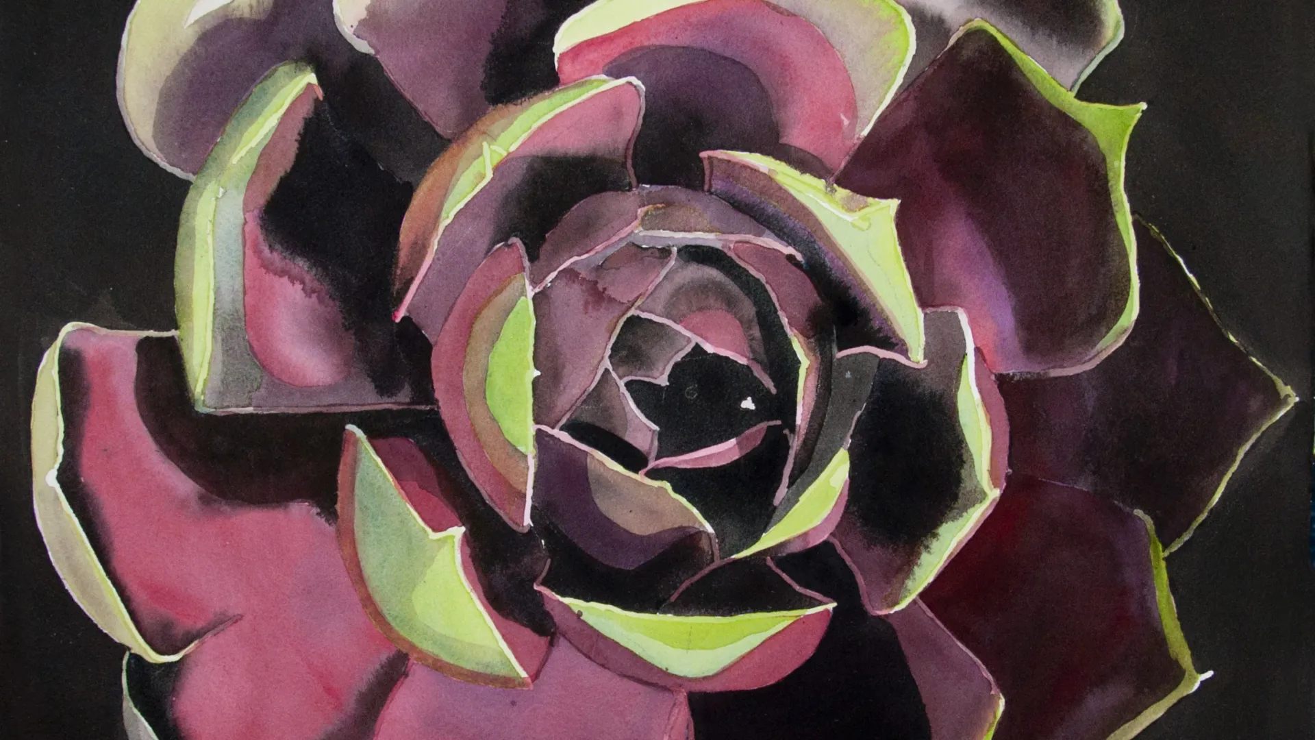 Photo de l'exposition 