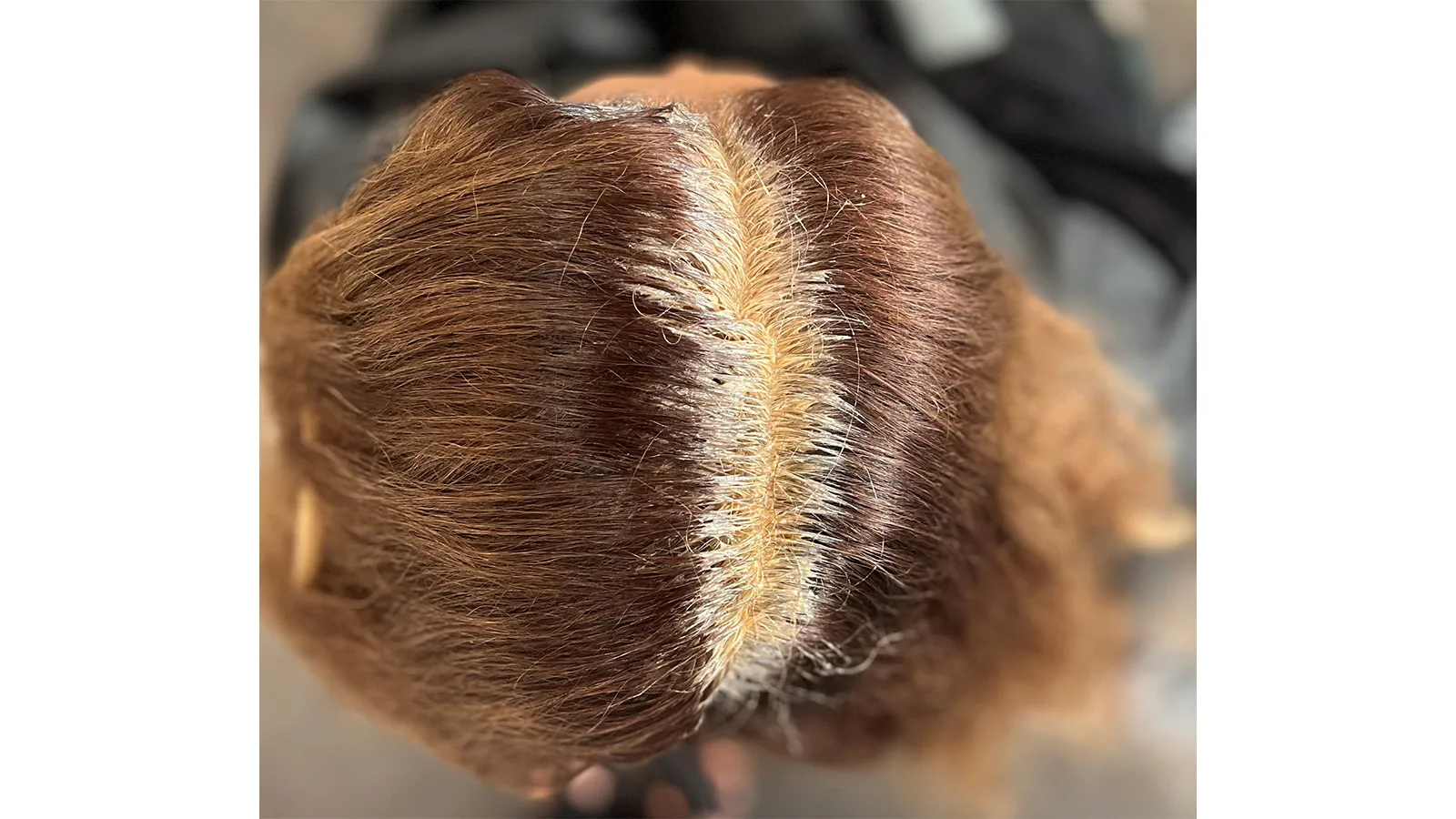 Œuvre n°12 - Comme d'habitude