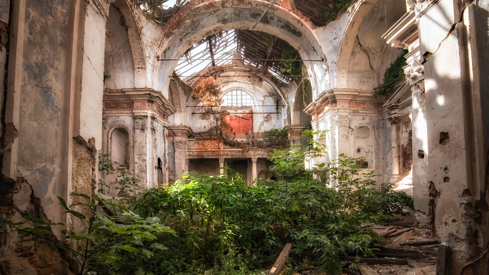 Révérence végétale 