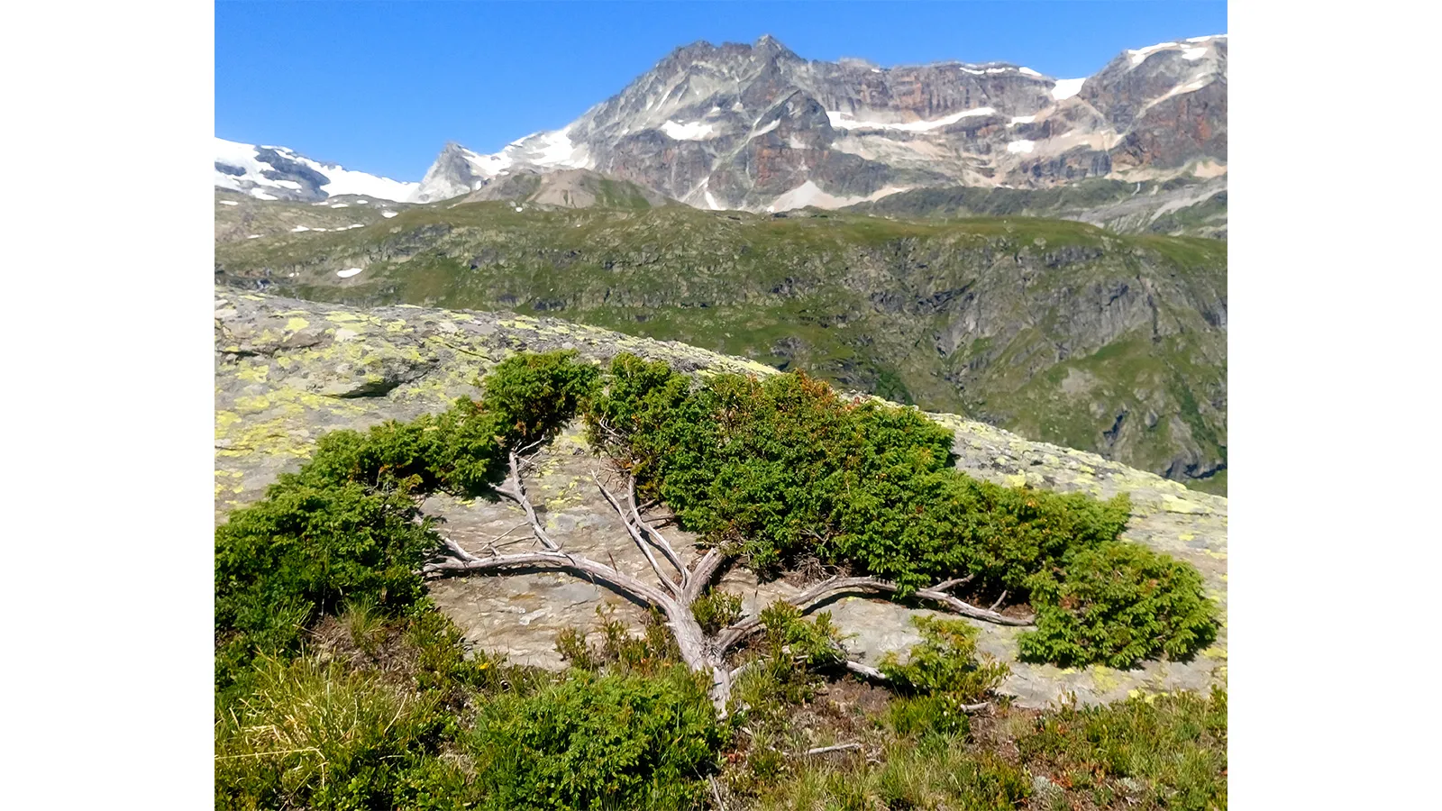 Œuvre n°22 - Merveille de la nature - parc de la Vanoise (73)