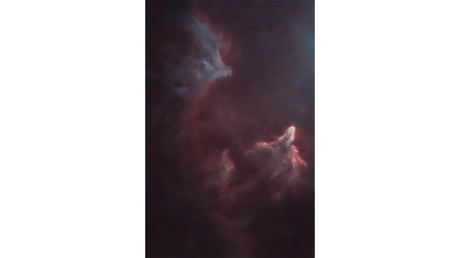 Œuvre n°8 - Racines stellaires