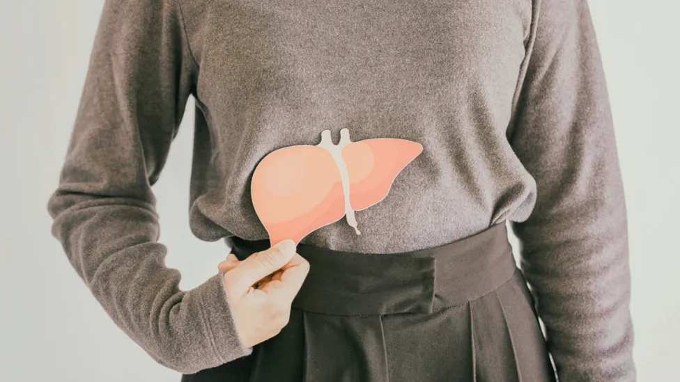 Brochure : Chirurgie du foie