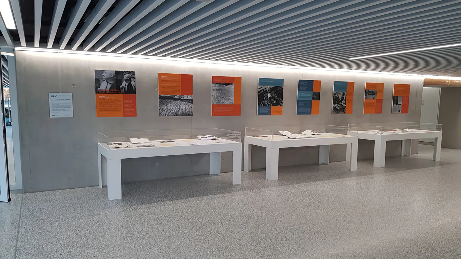 Exposition « Lorand Gaspar, chirurgien et poète »