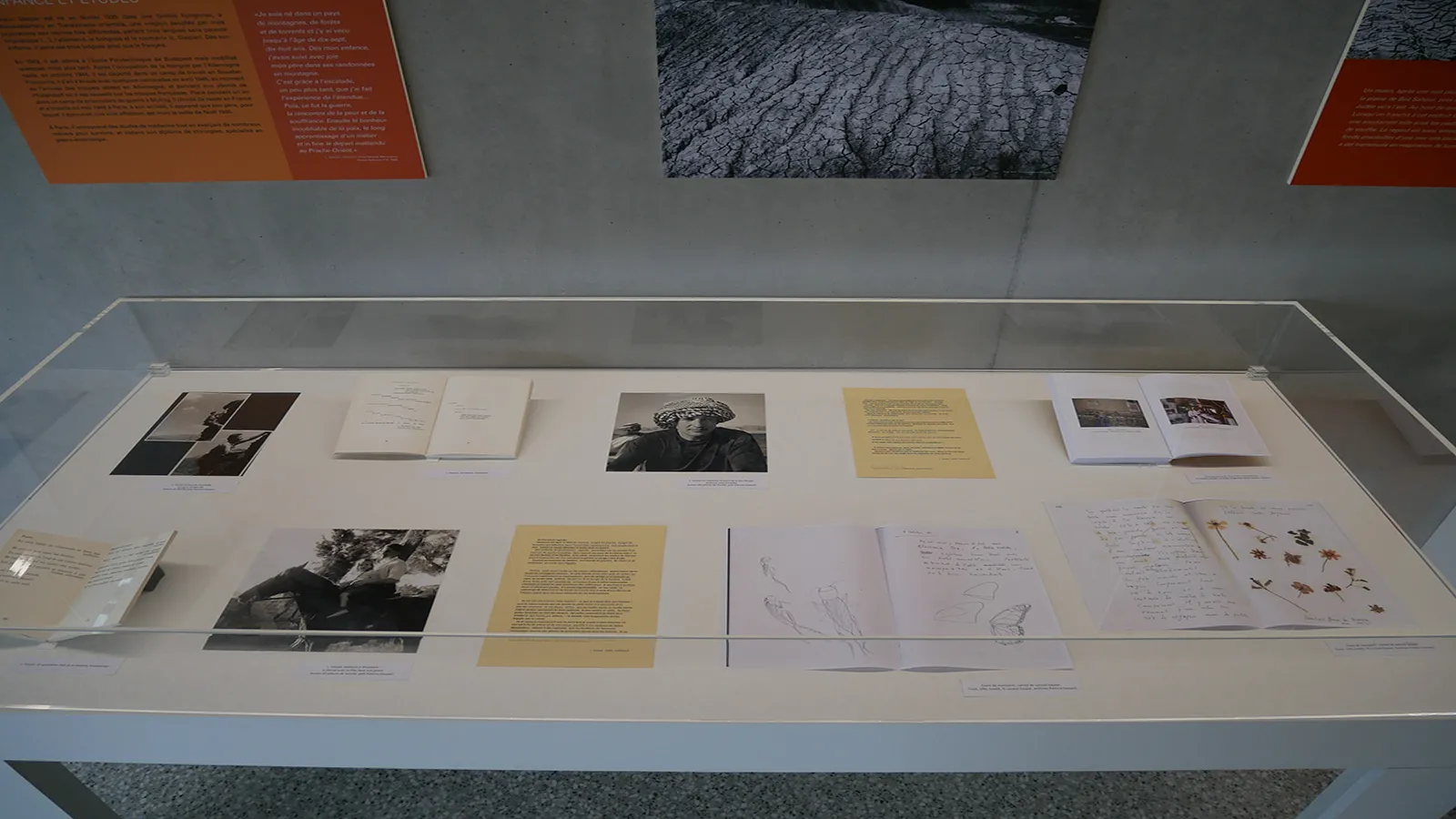 Exposition « Lorand Gaspar, chirurgien et poète »