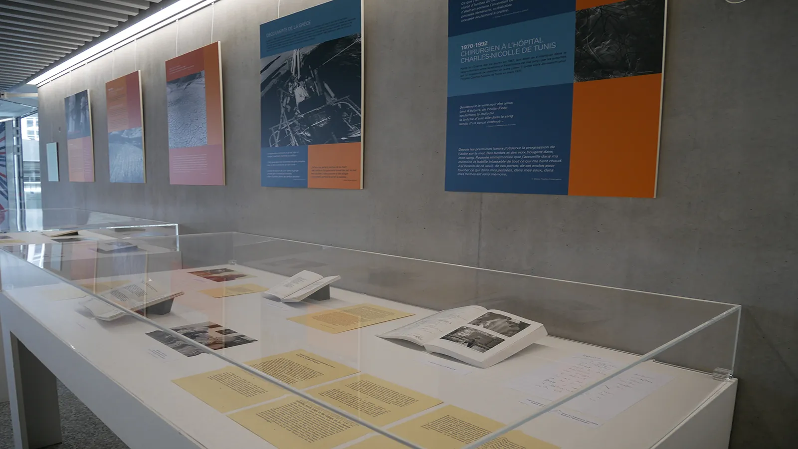 Exposition « Lorand Gaspar, chirurgien et poète »