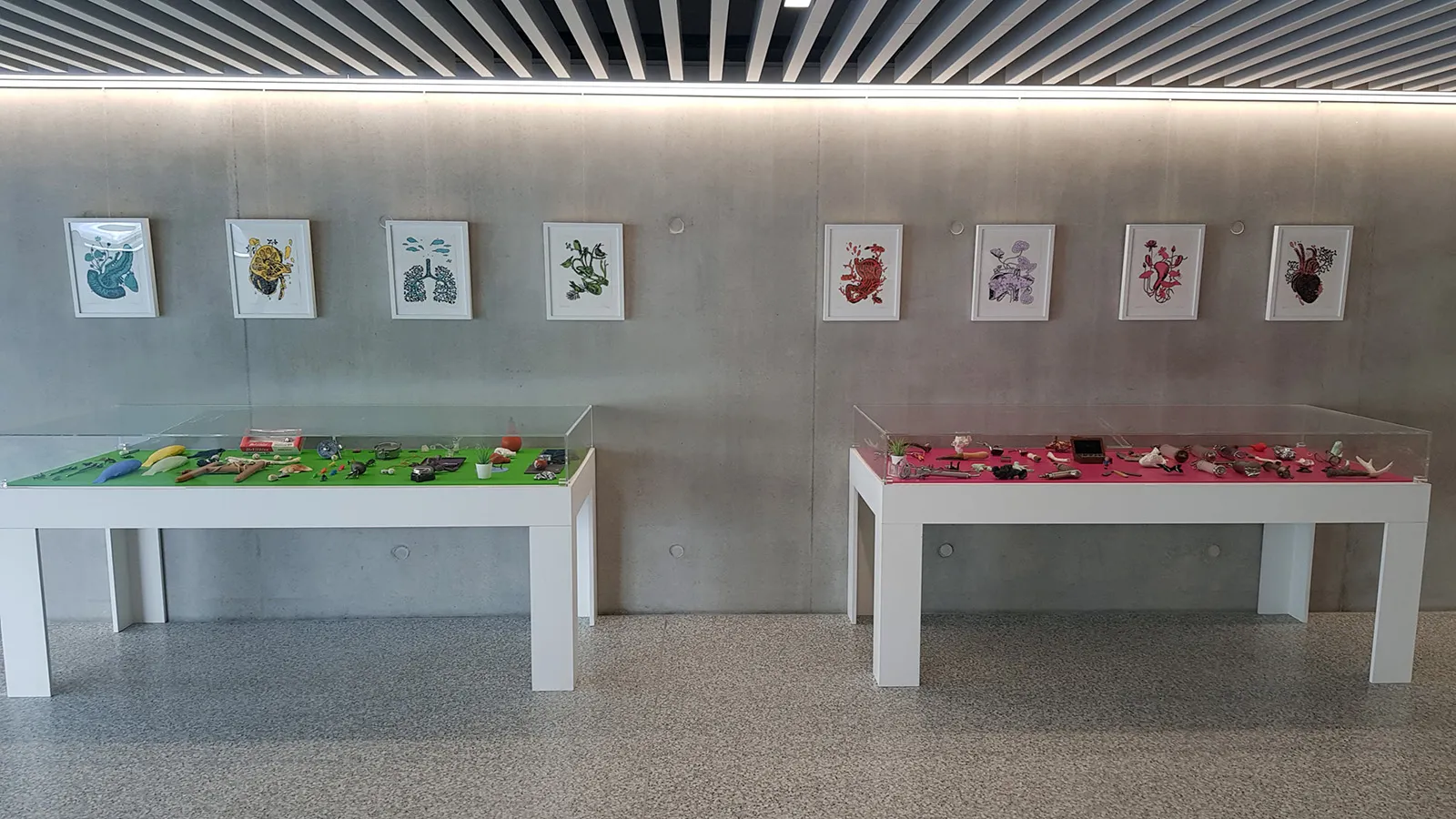 Photo de l'exposition 