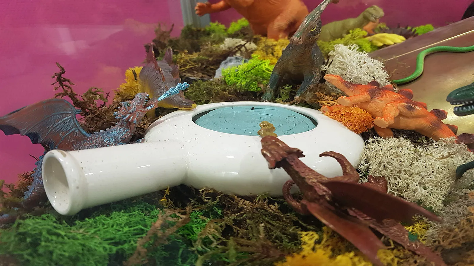 Photo de l'exposition 