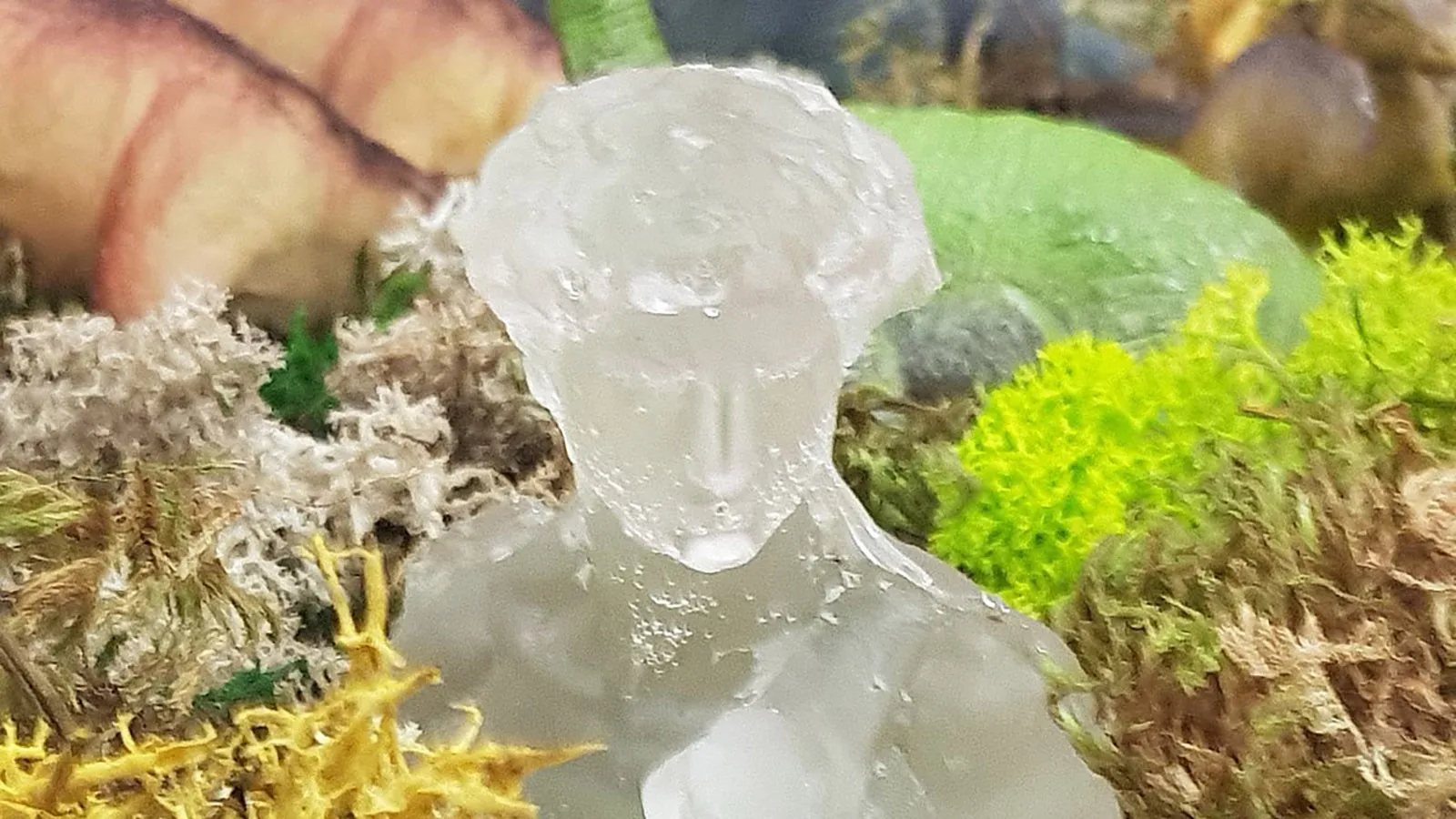 Photo de l'exposition 