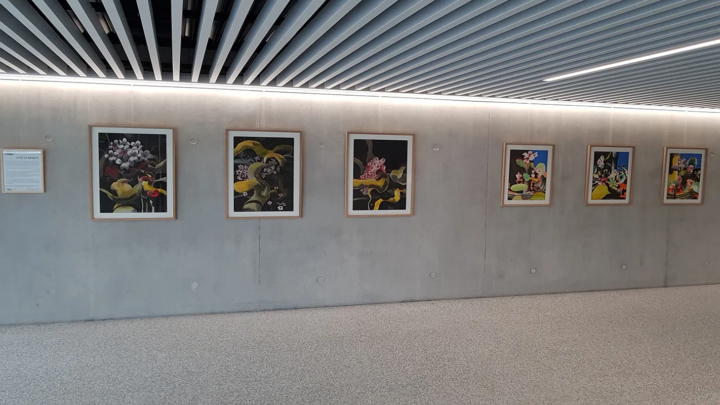 Murs de l'exposition