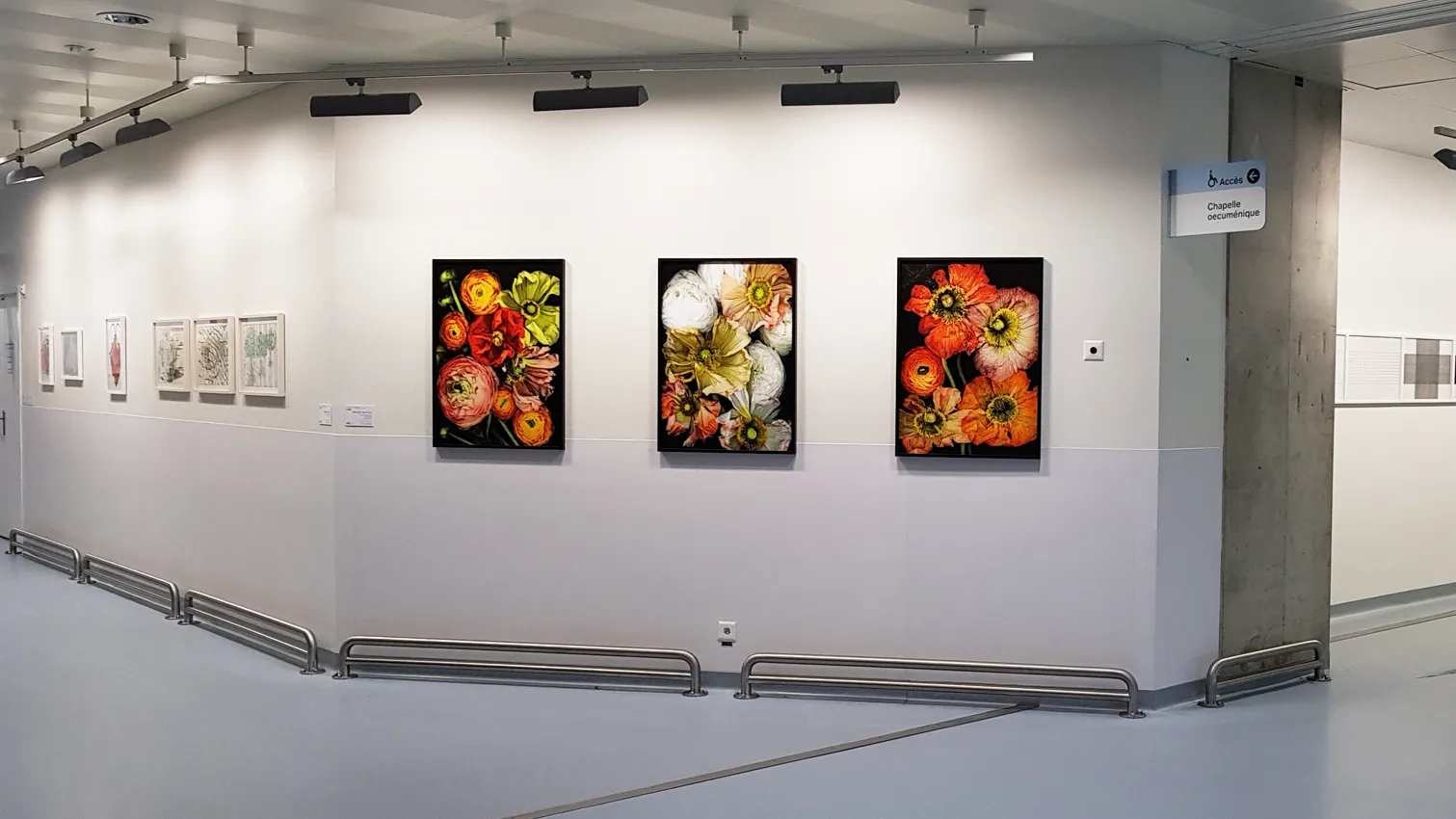 Photo de l'exposition 