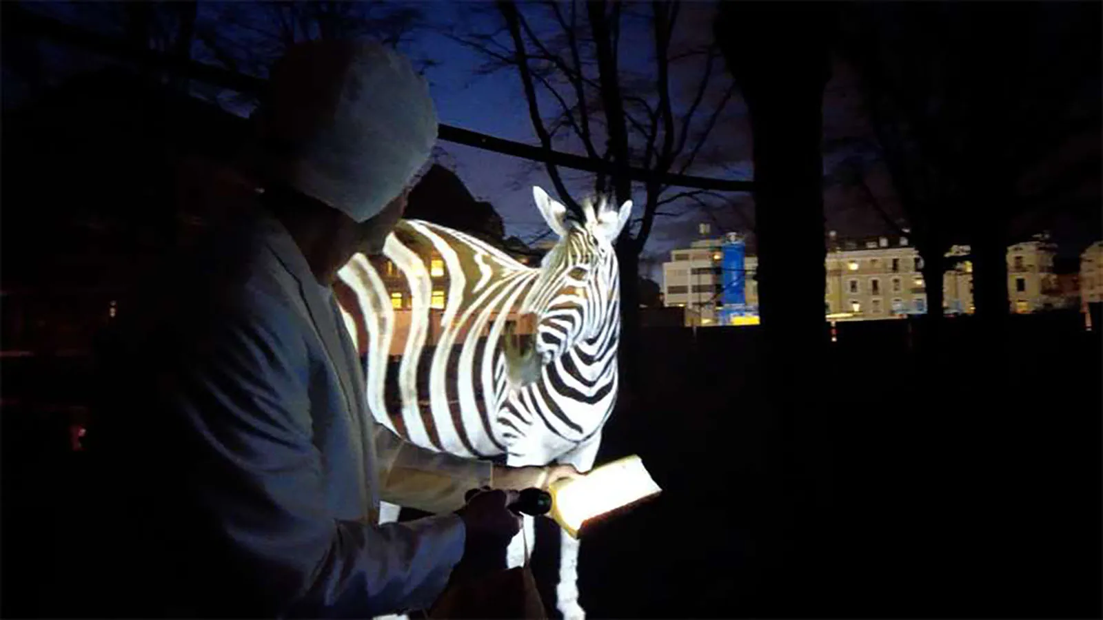 Zoologrammes - © Ulrich Fischer