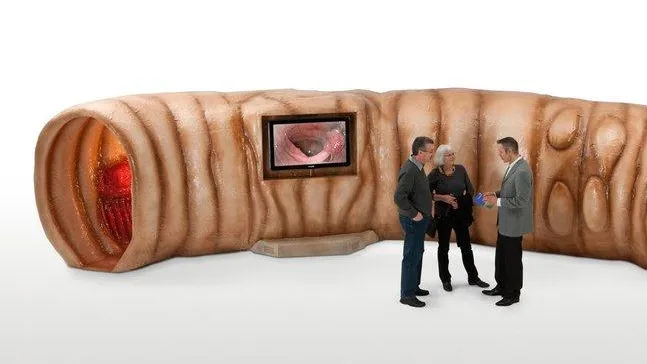 © Ligue suisse contre le cancer Maquette d'intestin