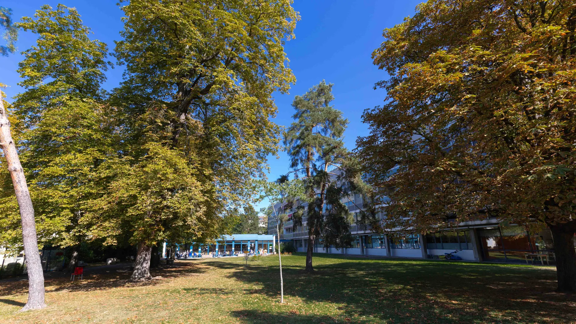 Parc Hôpital Beau-Séjour