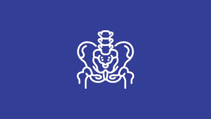 Système musculosquelettique et locomoteur