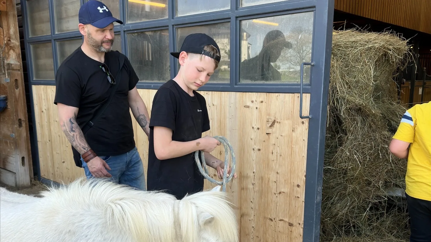 Equithérapie - Centre CORAIL