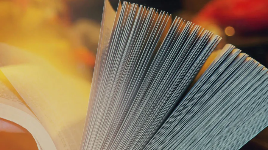 e-book stratégies SMPR