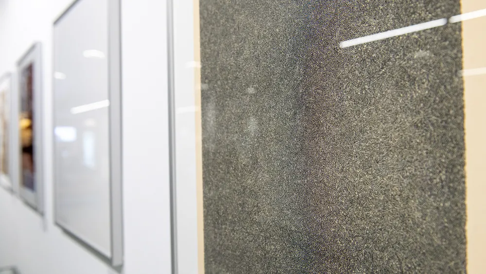 L'Expo collective des HUG