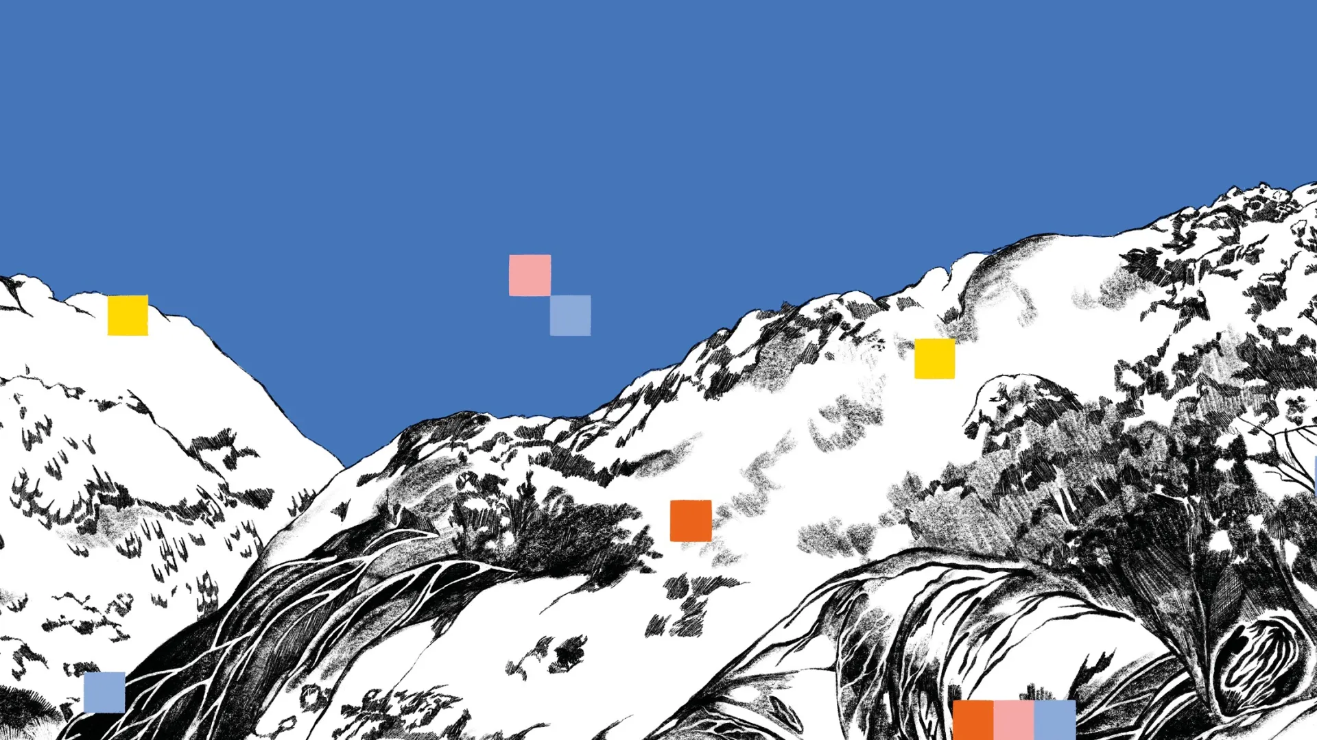 Rapport d'activité 2022-2023