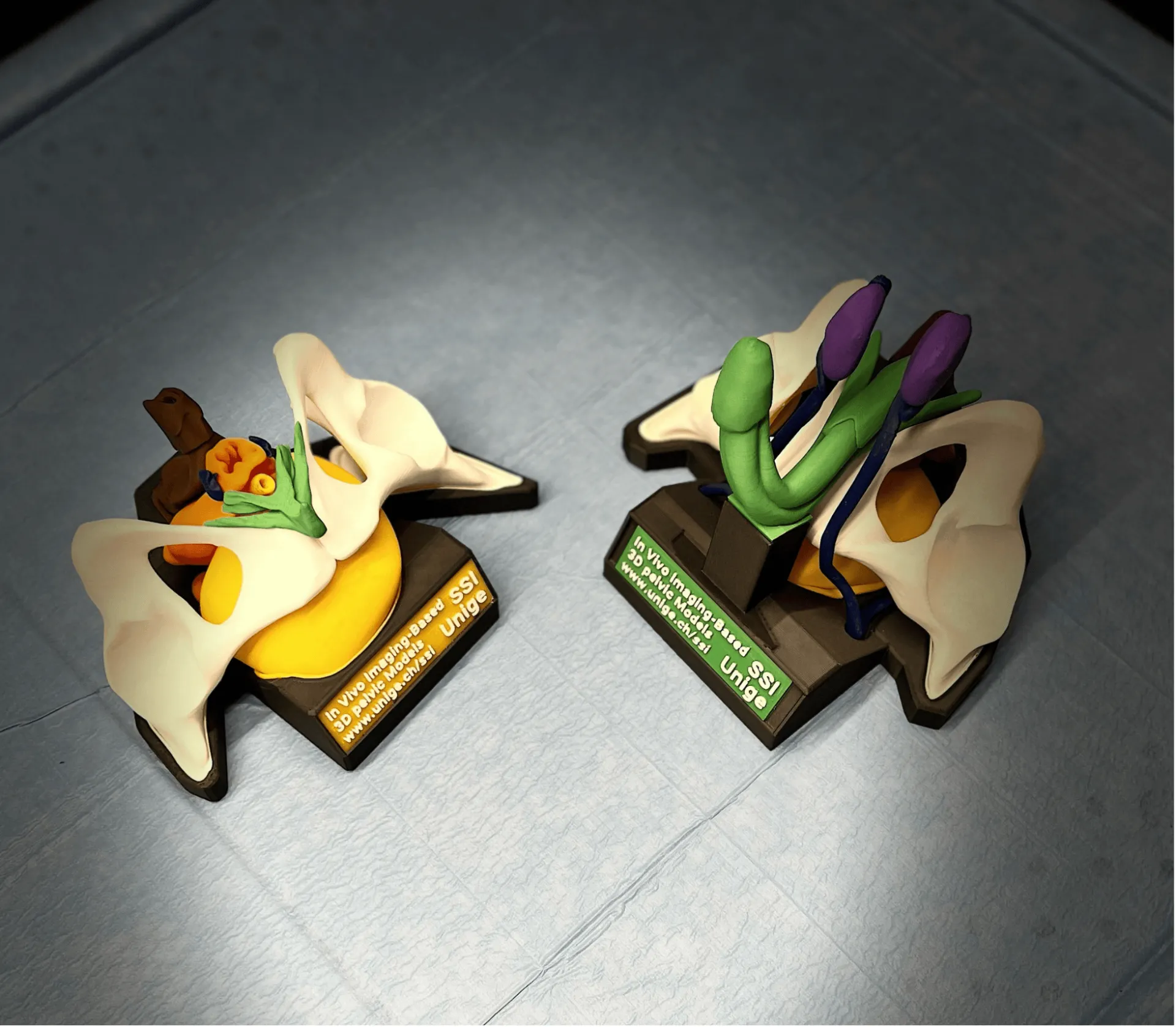 Sciences sexes identités