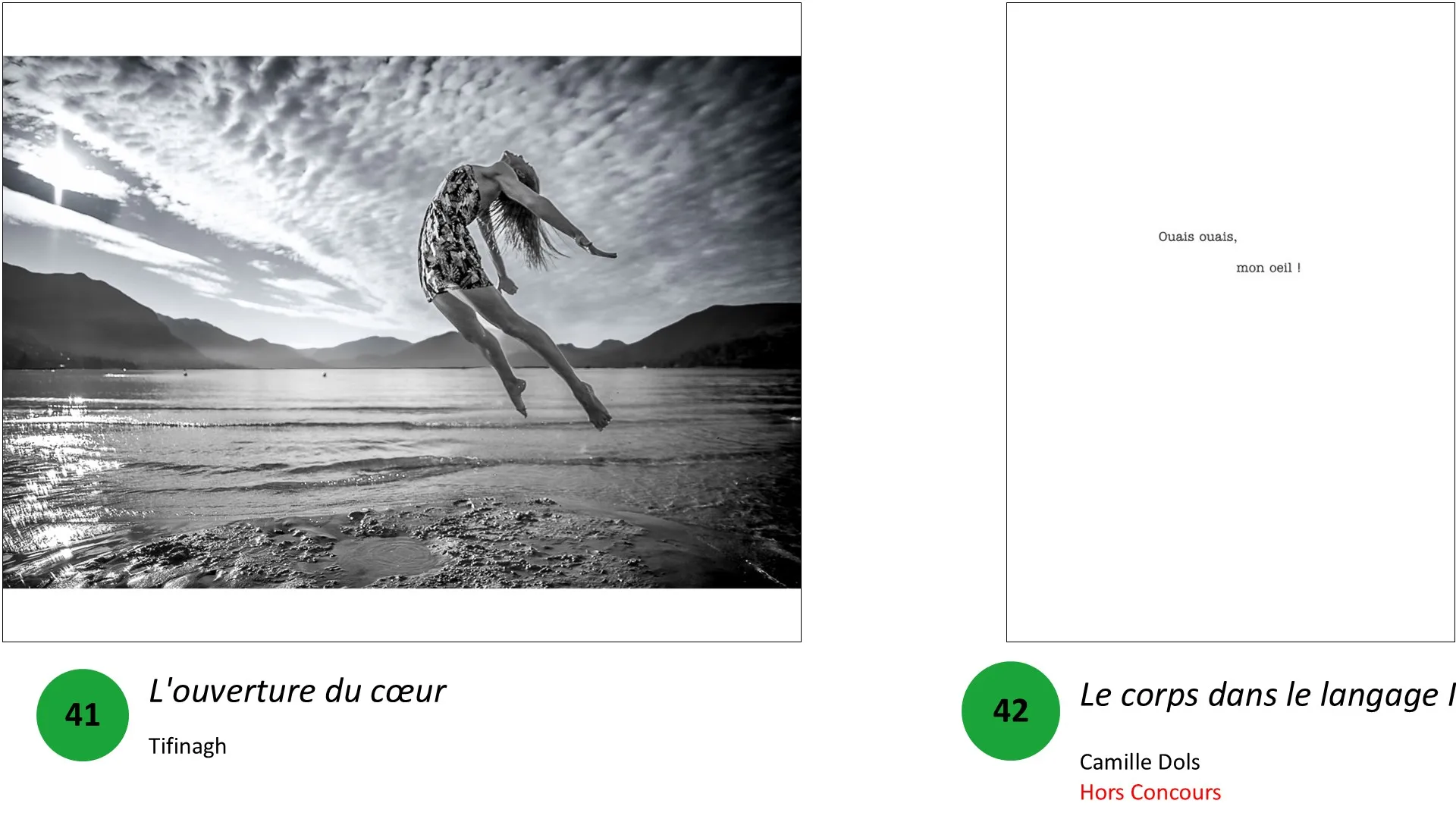 Photo œuvre Expo collective