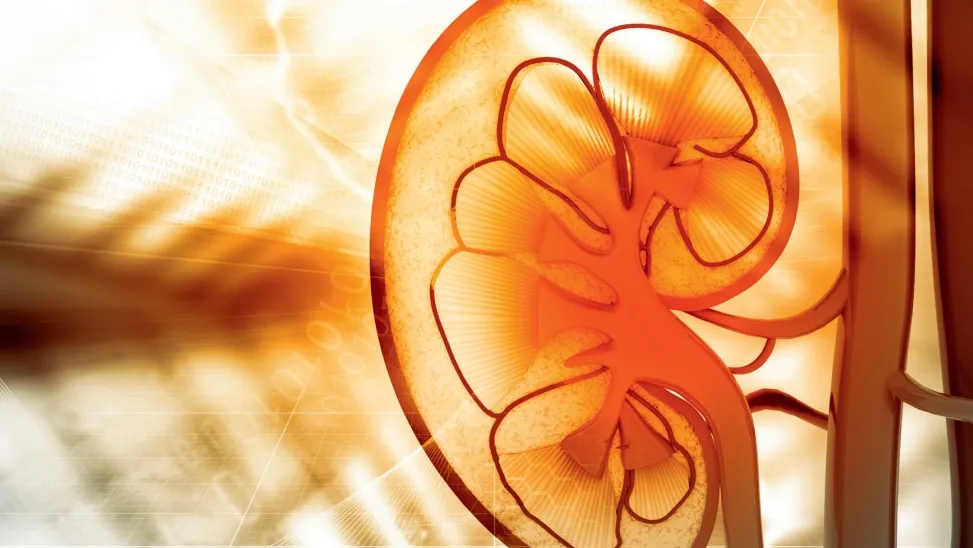 Brochure pour les patients : Insuffisance rénale chronique