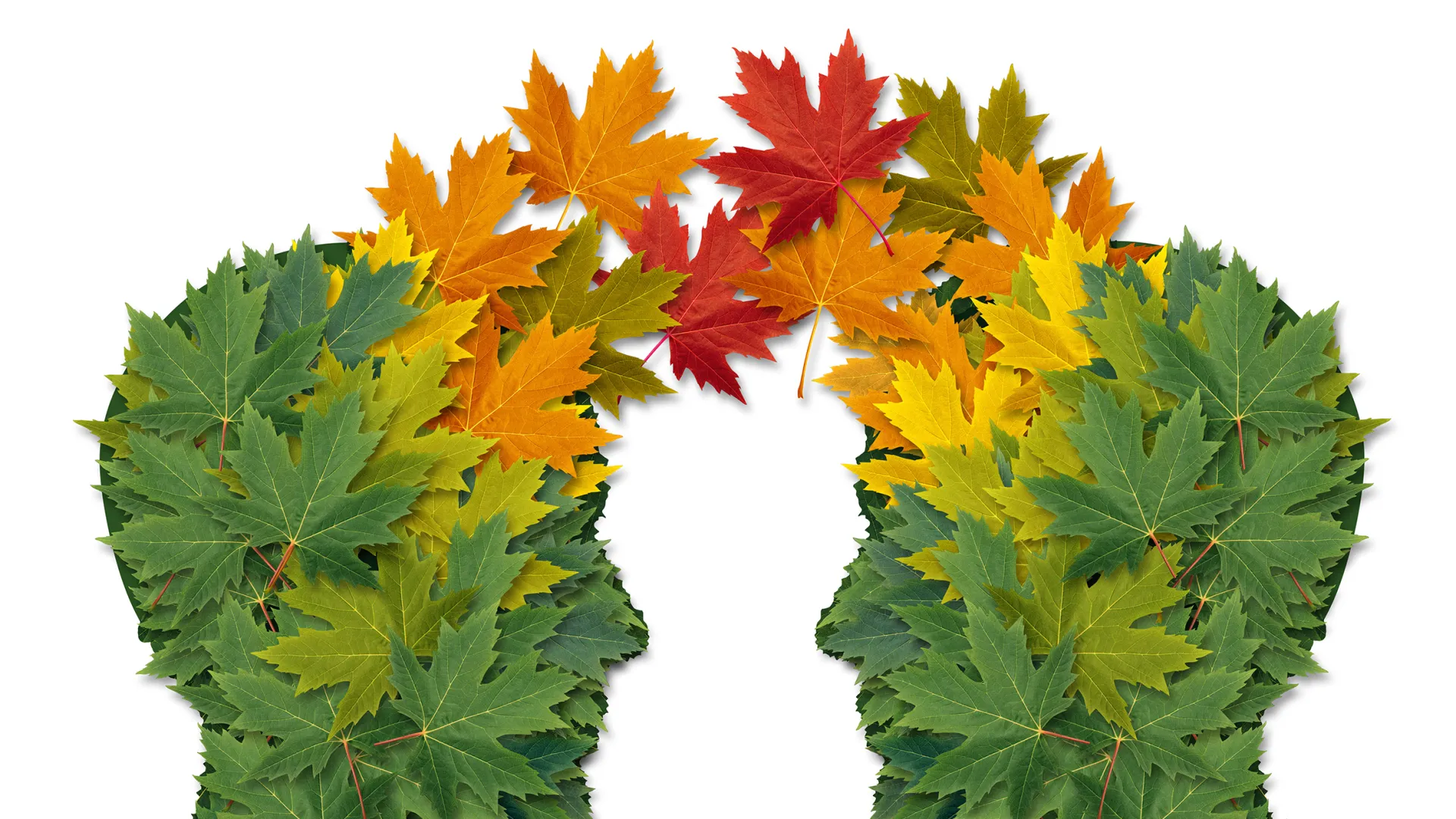 deux visages stylisés avec des feuilles d'arbre