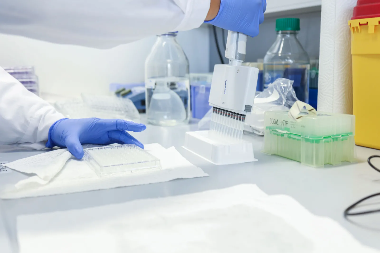 Recherche et traitement innovant
