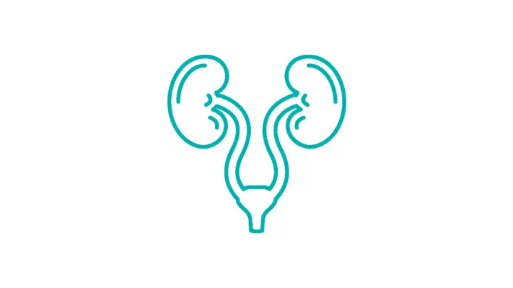 Cancers urogénitaux