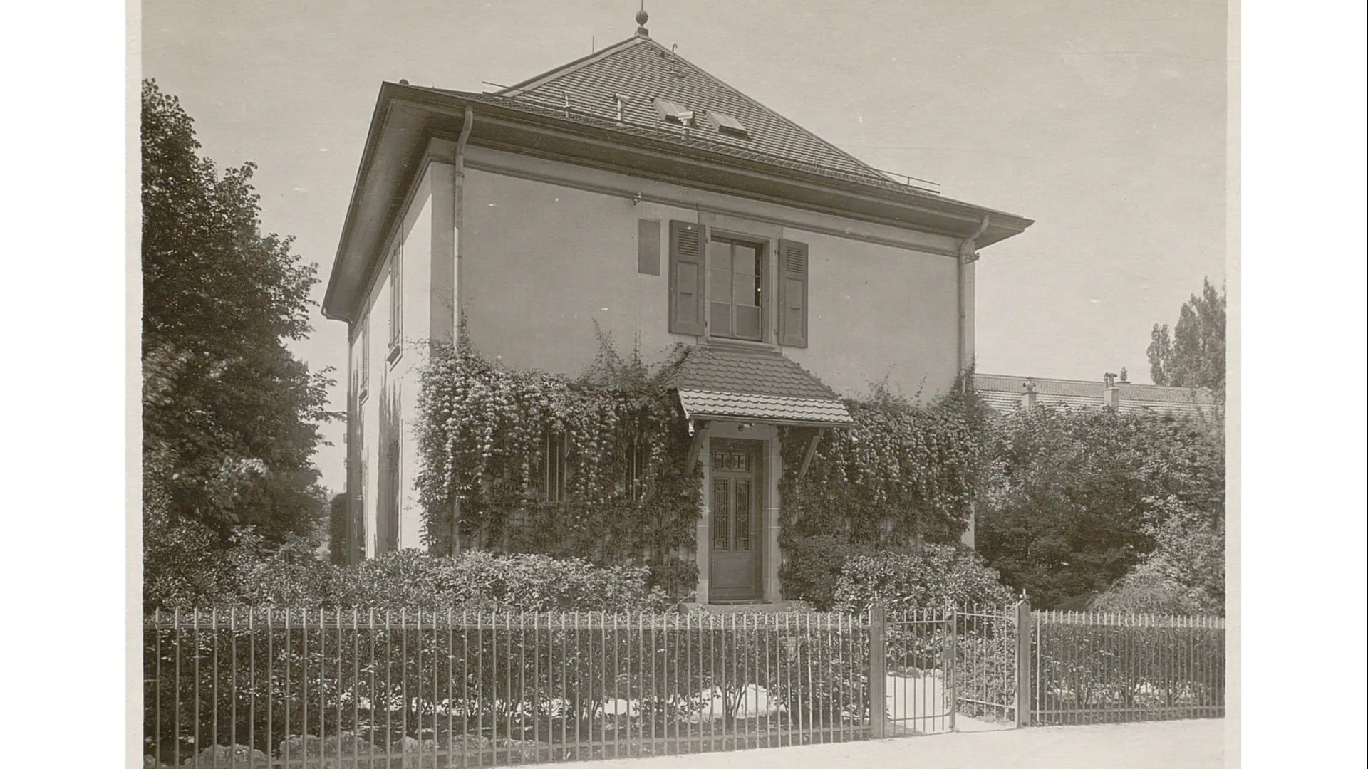 Petite maison, façade à moitié couverte de plantes grimpantes, clôture métallique.