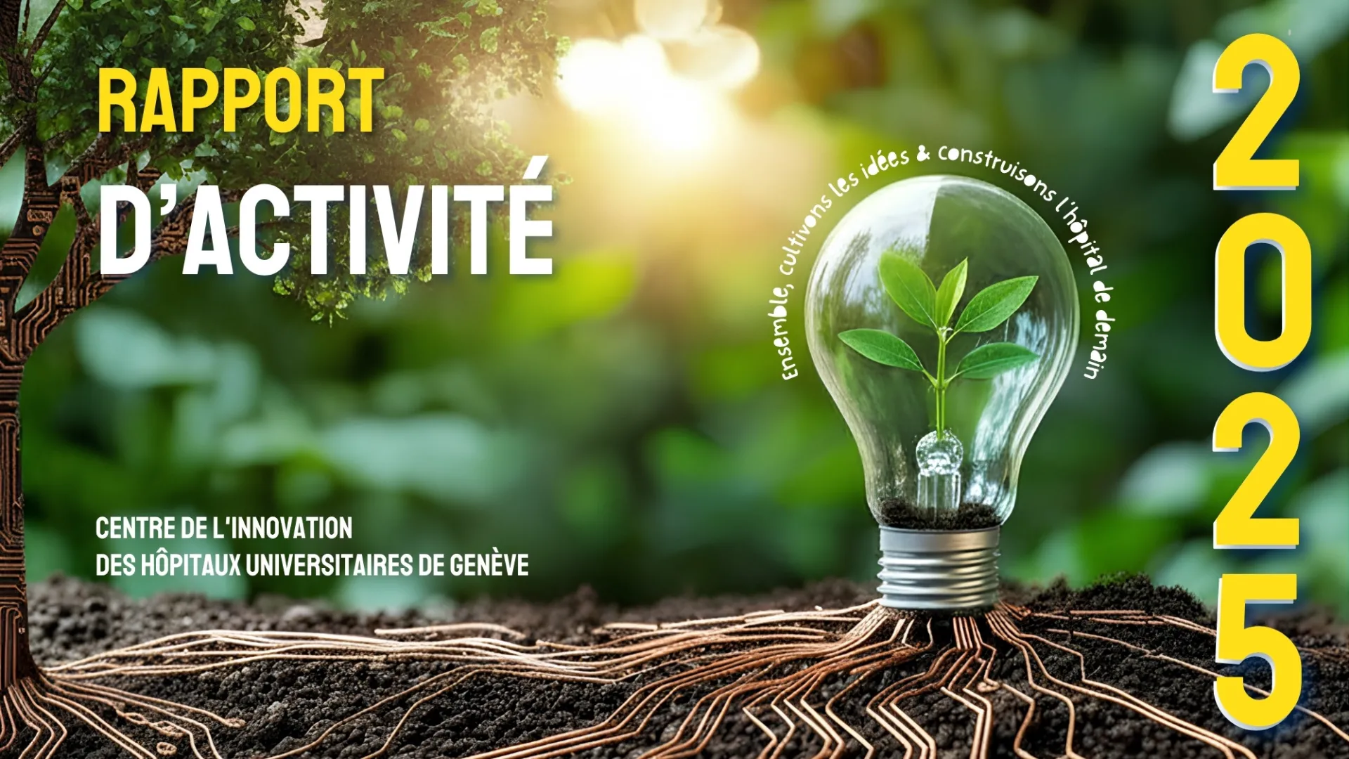 Rapport d'activité 2025