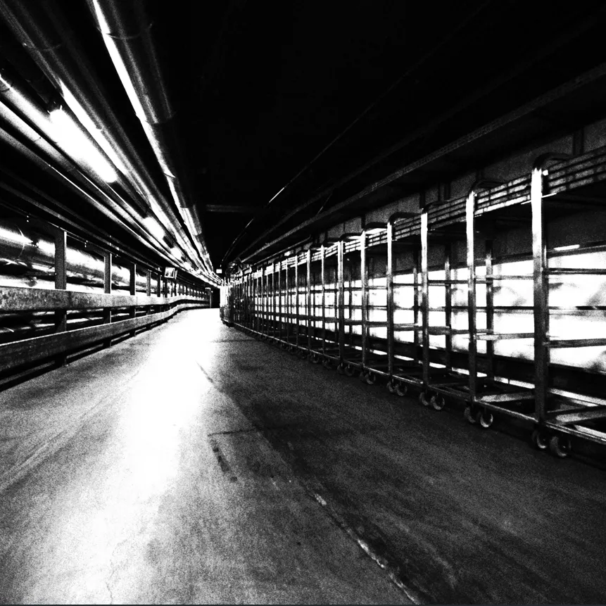 Rapport d'activité 2025