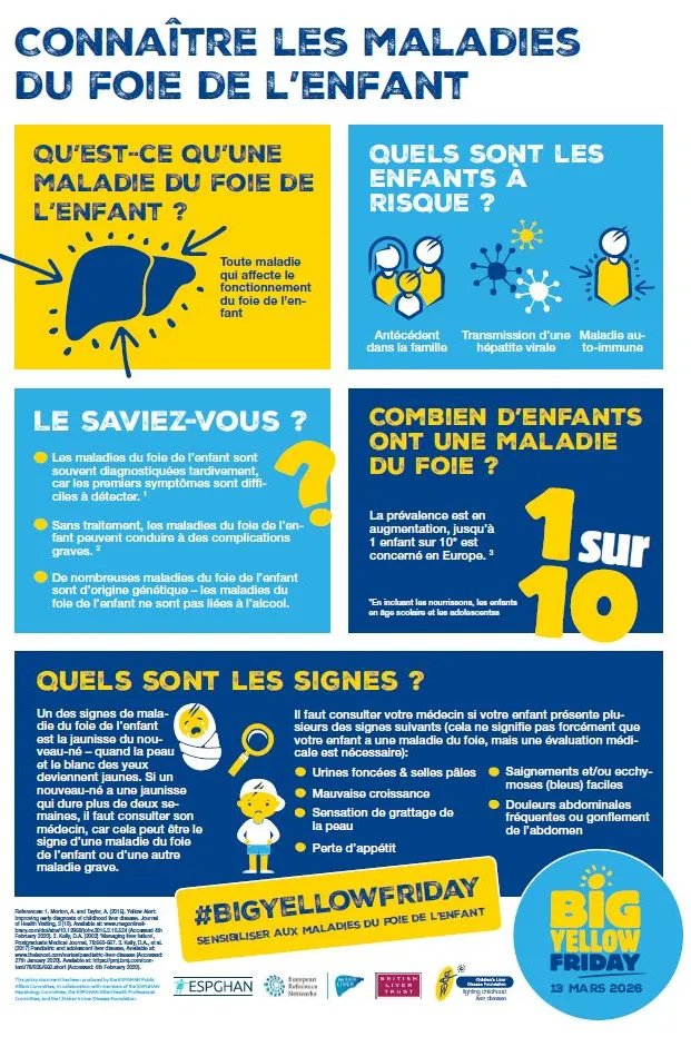 Infographie BYD 2026