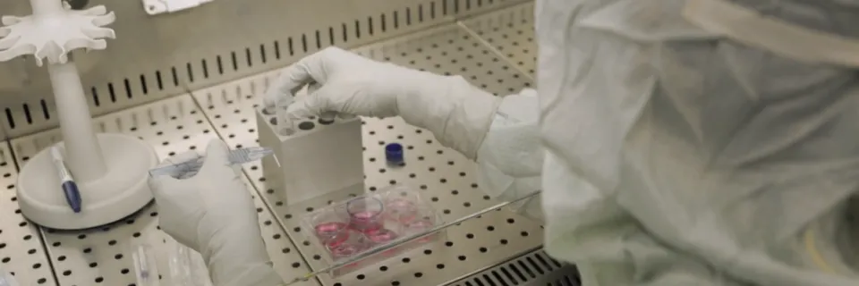 Recherche oncologie de précision