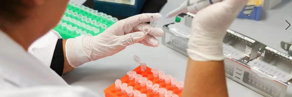 CMVE - les activités médicales