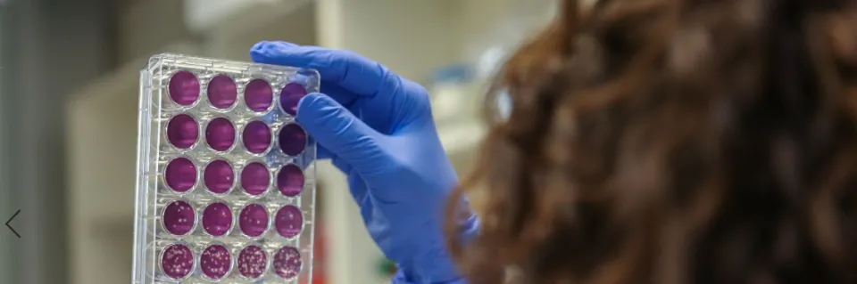 cmve - activités de recherche