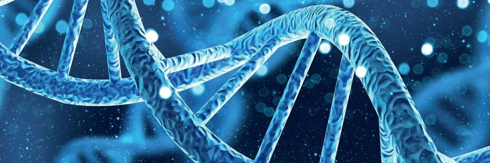 Centre des maladies rares du métabolisme osseux et minéral