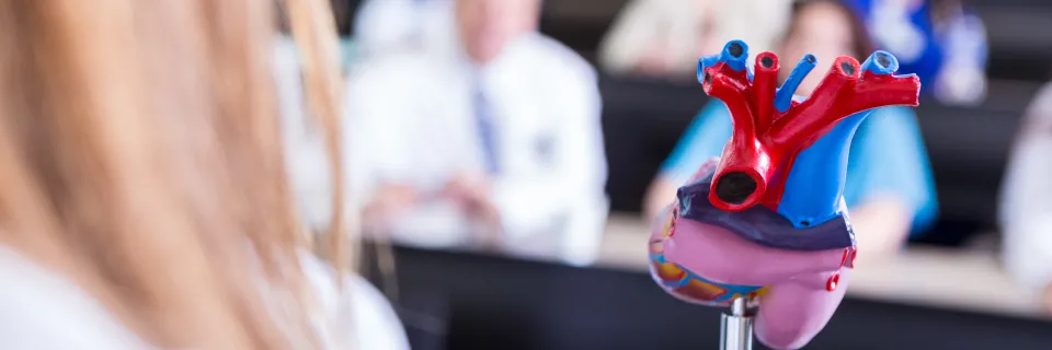 Chirurgie cardiovasculaire