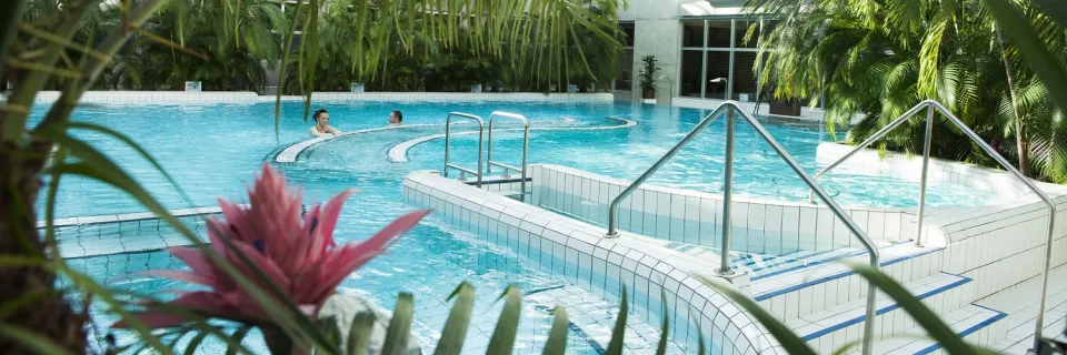 bassin - Bains de Cressy