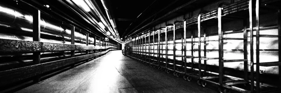 Rapport d'activité 2023-2024