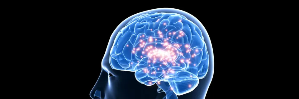 Activités d'enseignement : Service de neurochirurgie aux HUG