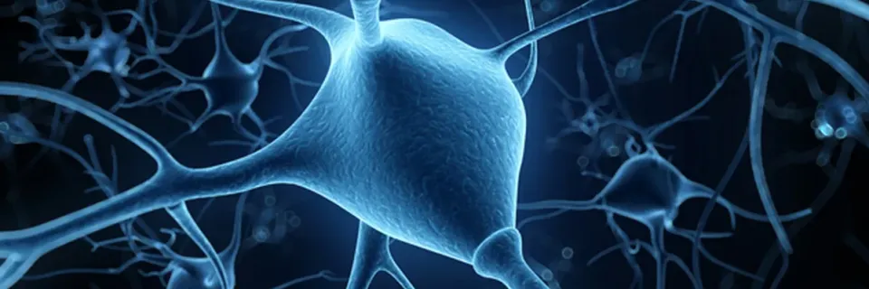 Liens et partenaires - service de neurochirurgie